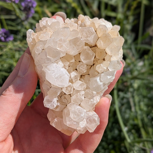 Chunky Quartz Cluster